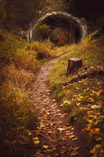 dirt road pathway towards tunnel gravel